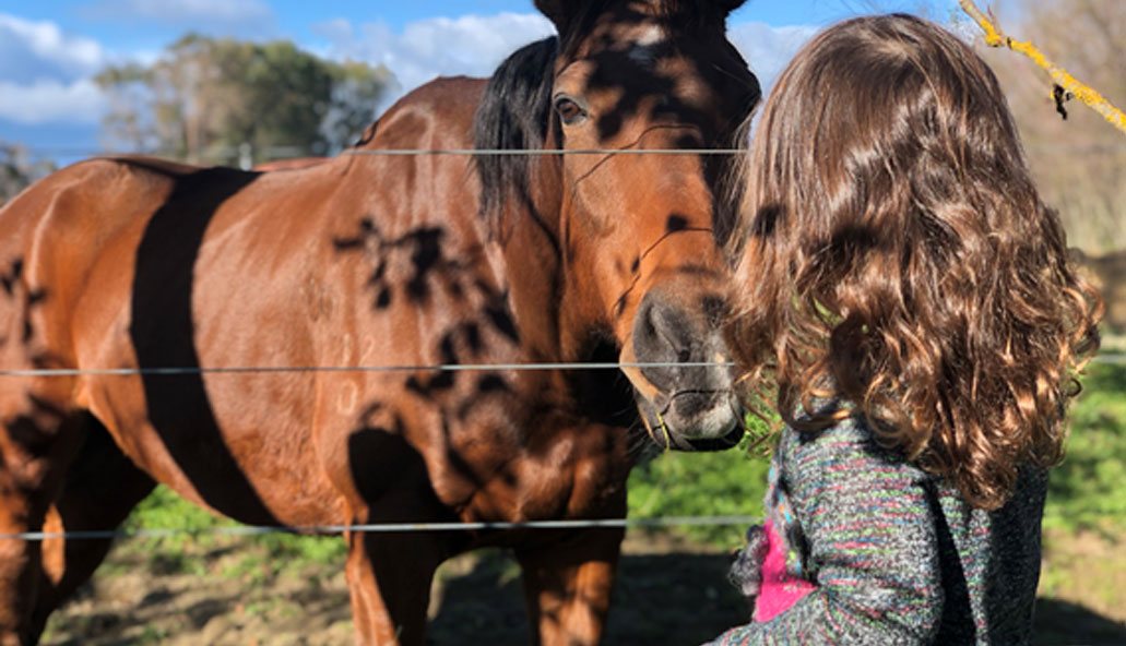 My Daughter and her ‘poor Pony-corn’.