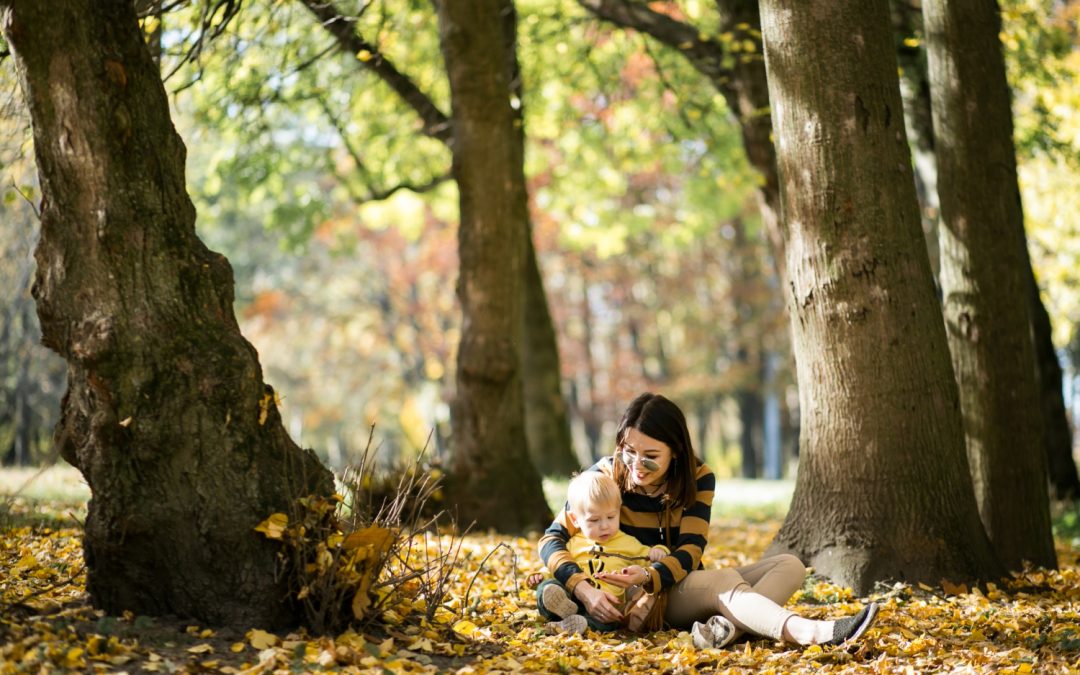 Embrace the Enchantment of Reading with Your Children this May! | The Kids Book Company